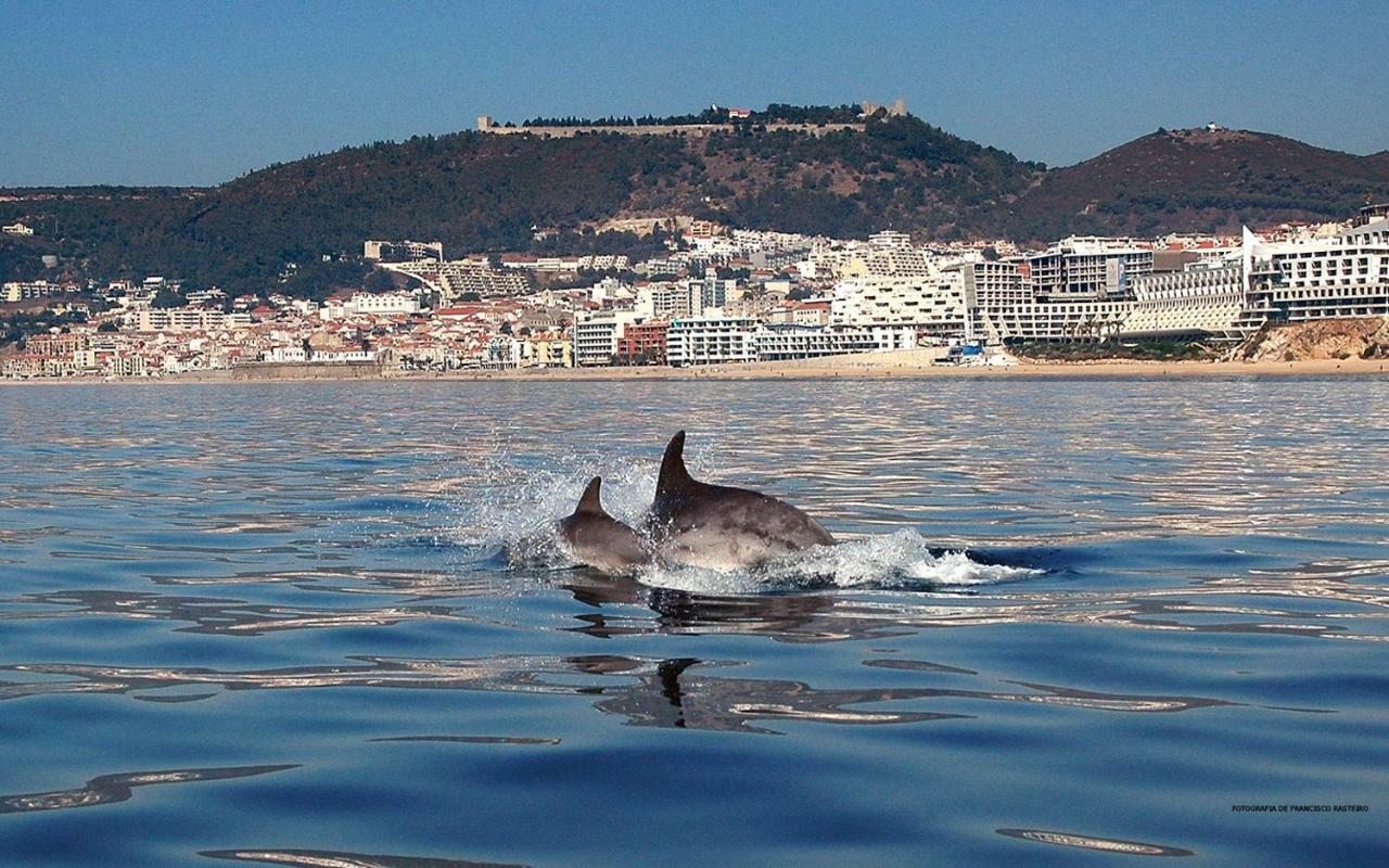 Felp Sesimbra Beach 1006 Екстер'єр фото